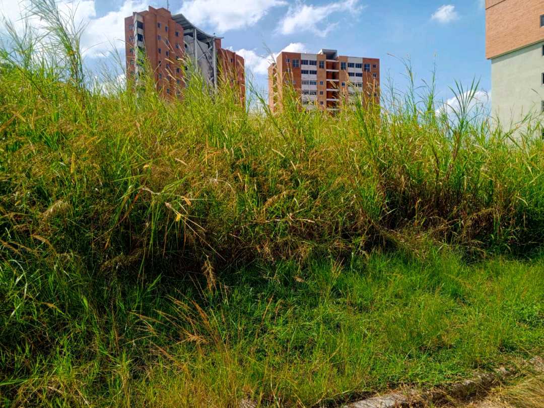 PARCELA EN VENTA EN TERRAZAS DEL MANANTIAL NAGUANAGUA MVM-9764660 - Foto 7