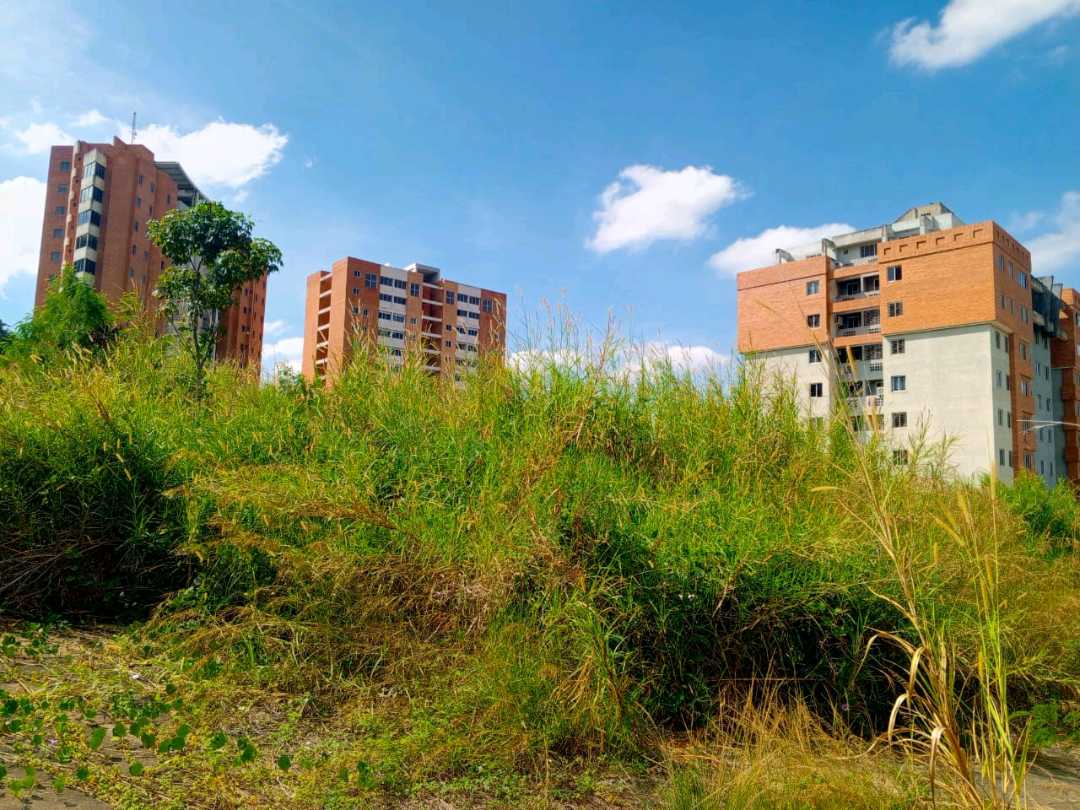PARCELA EN VENTA EN TERRAZAS DEL MANANTIAL NAGUANAGUA MVM-9764660 - Foto 9