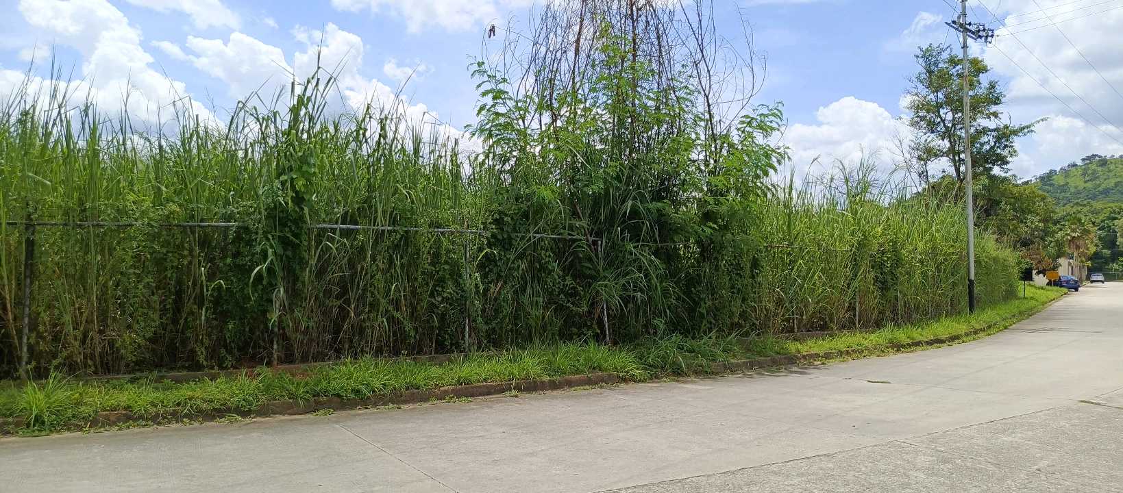 TERRENO EN VENTA URB. GUATAPARO COUNTRY CLUB VALENCIA CRCB-9218611 - Foto 2