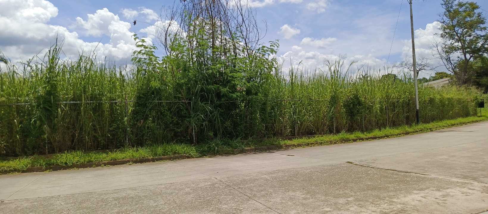 TERRENO EN VENTA URB. GUATAPARO COUNTRY CLUB VALENCIA CRCB-9218611 - Foto 4