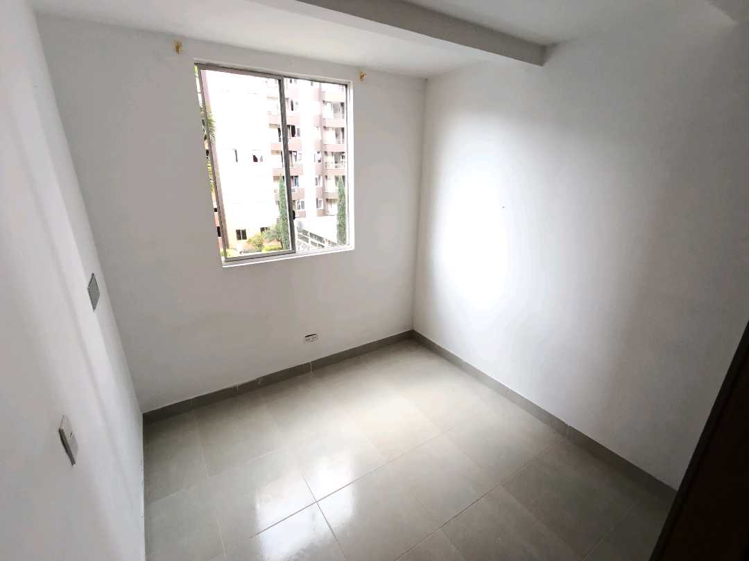 Miniatura 11