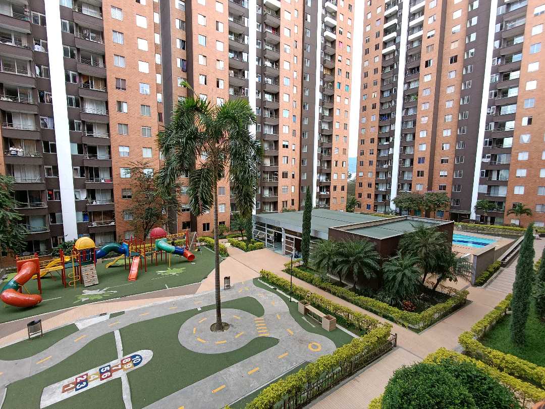 Miniatura 15