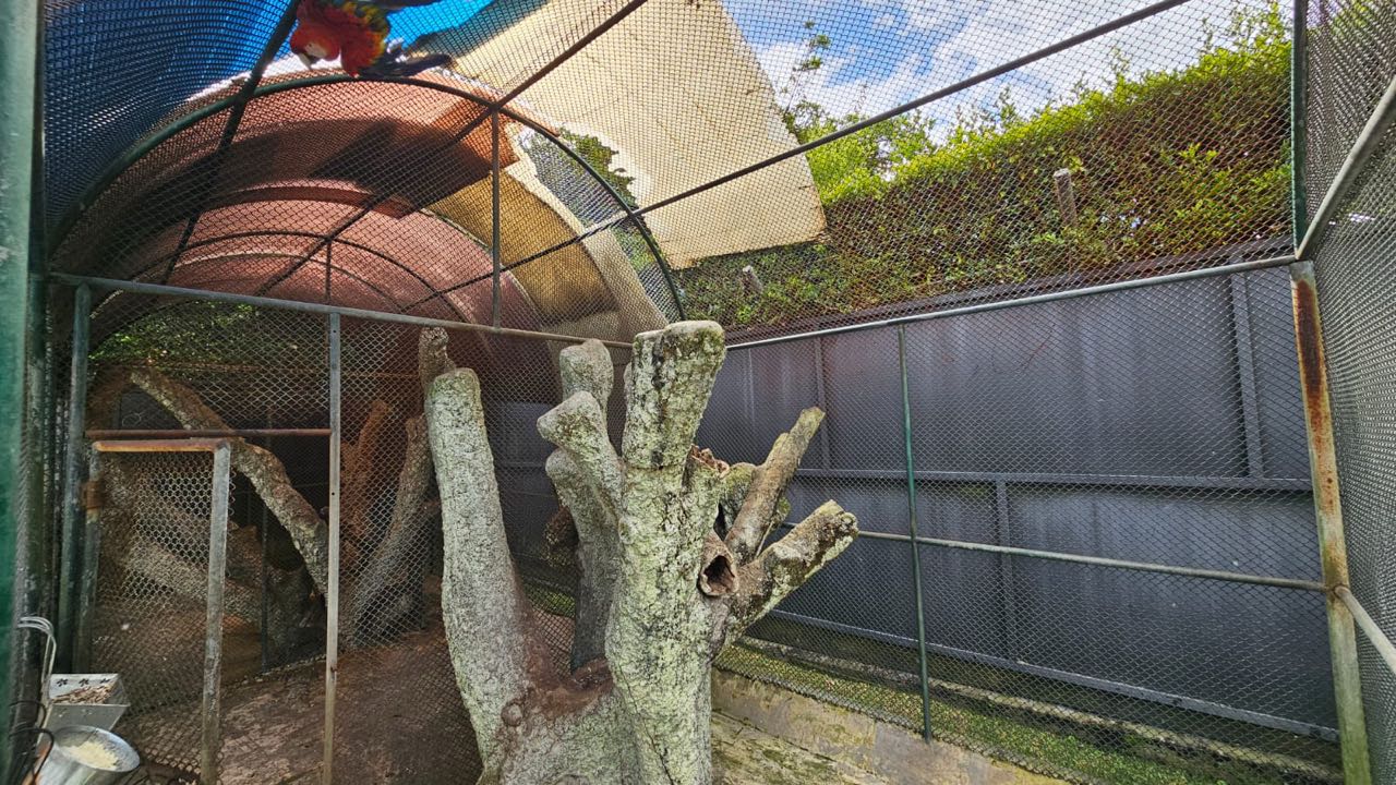 SE VENDE CASA TROPICAL EN LA MARIA PANCE