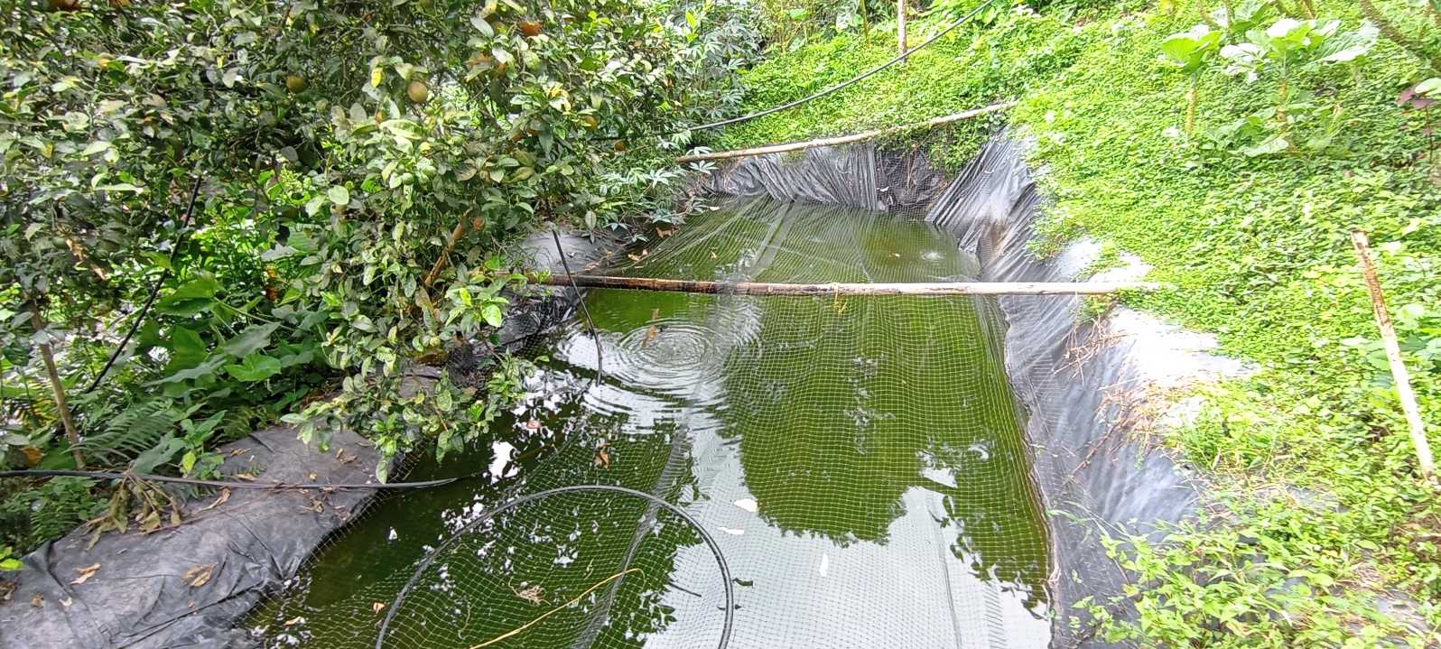 SE VENDE CASA CAMPESTRE EN SALENTO