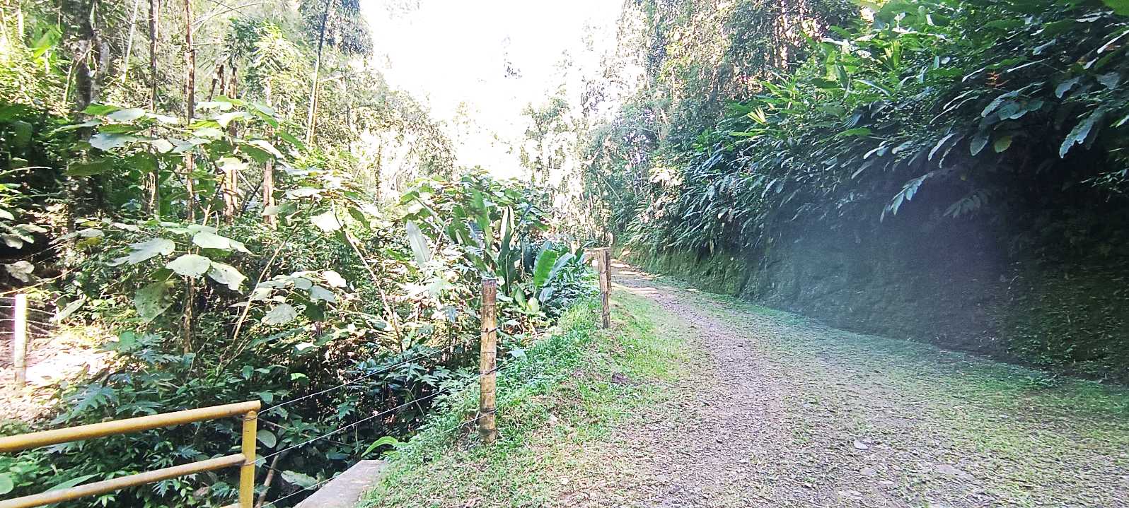 SE VENDE FINCA 84 CUADRAS EN TEBAIDA QUINDÍO. URBANIZABLE.