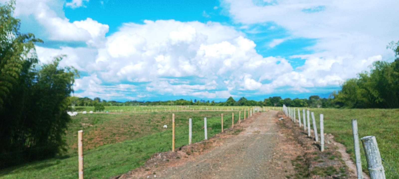 SE VENDE FINCA 84 CUADRAS EN TEBAIDA QUINDÍO. URBANIZABLE.