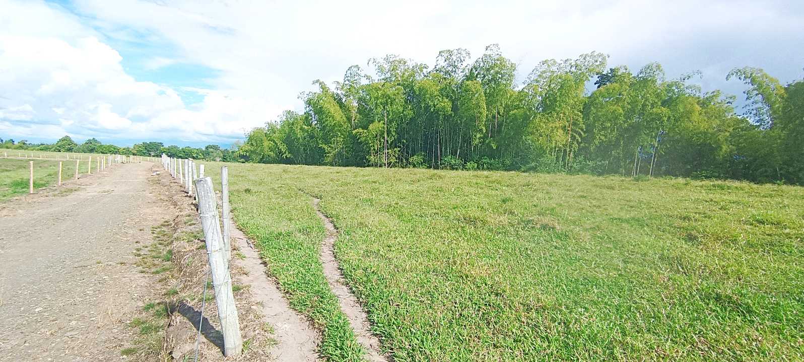 SE VENDE FINCA 84 CUADRAS EN TEBAIDA QUINDÍO. URBANIZABLE.