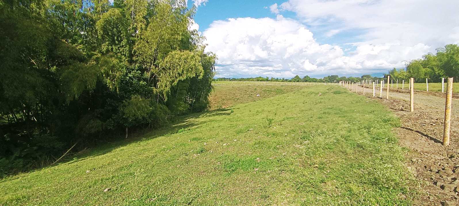 SE VENDE FINCA 84 CUADRAS EN TEBAIDA QUINDÍO. URBANIZABLE.