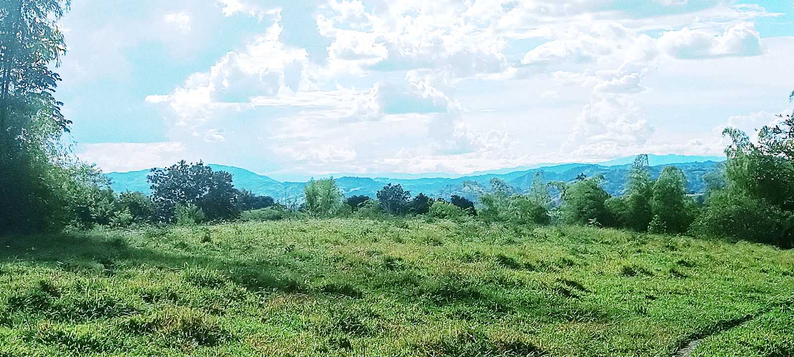 SE VENDE FINCA 84 CUADRAS EN TEBAIDA QUINDÍO. URBANIZABLE.