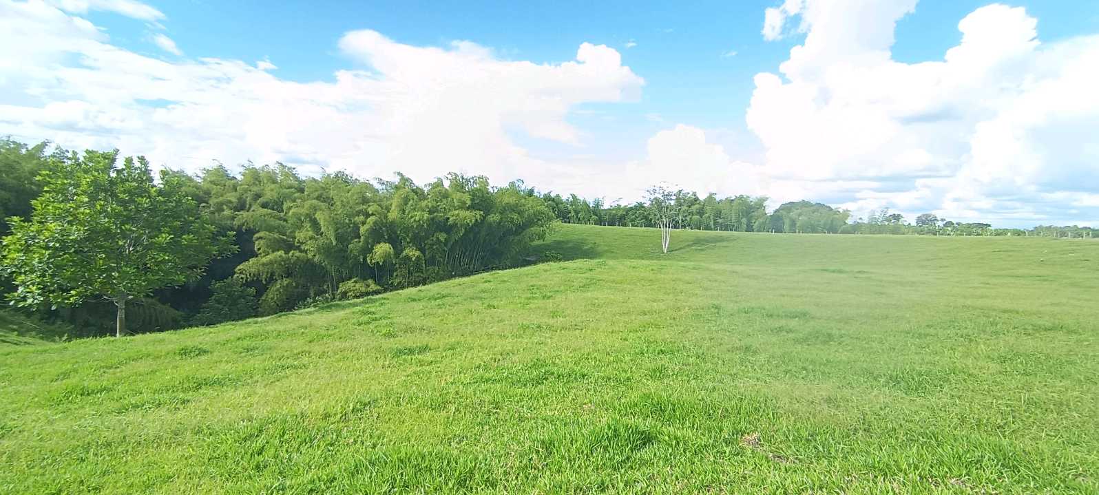 SE VENDE FINCA 84 CUADRAS EN TEBAIDA QUINDÍO. URBANIZABLE.