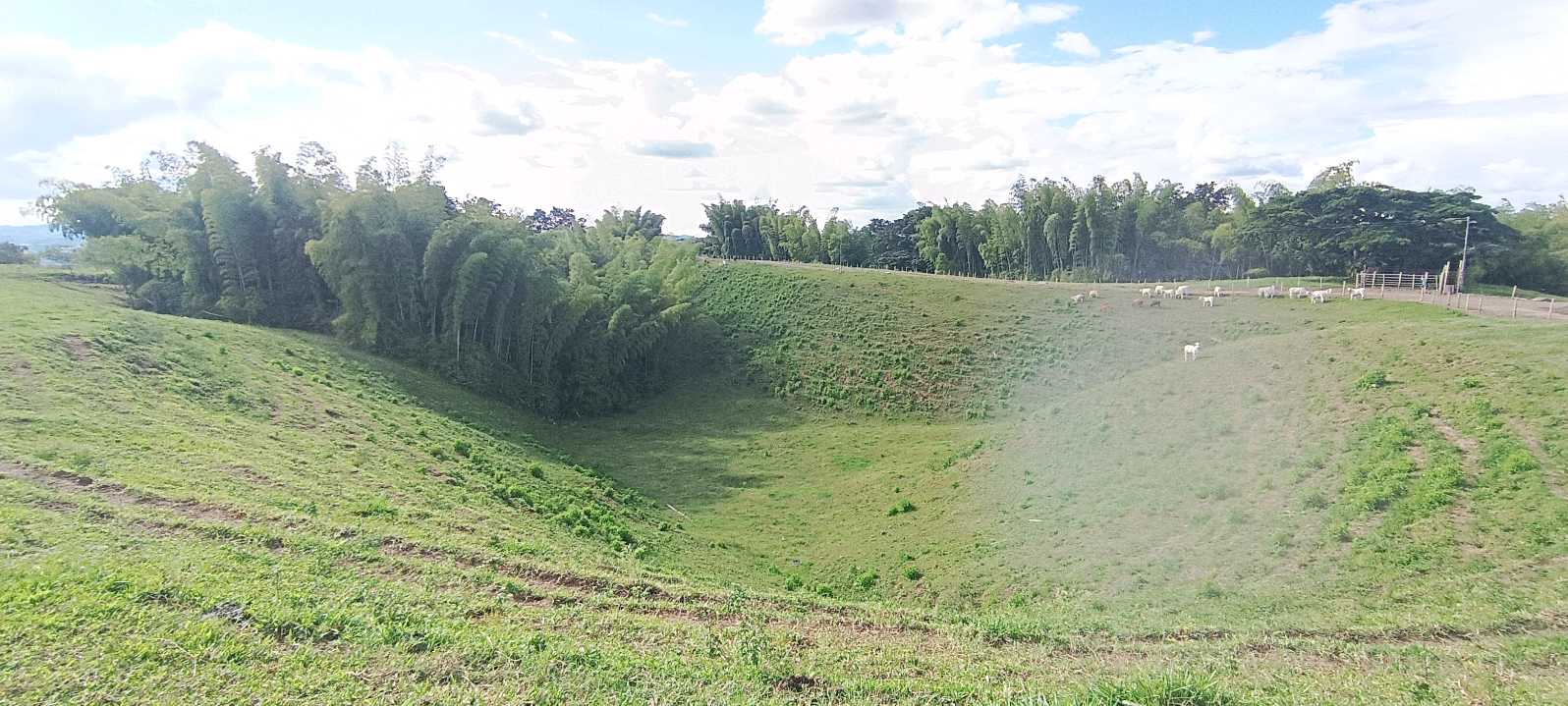 SE VENDE FINCA 84 CUADRAS EN TEBAIDA QUINDÍO. URBANIZABLE.