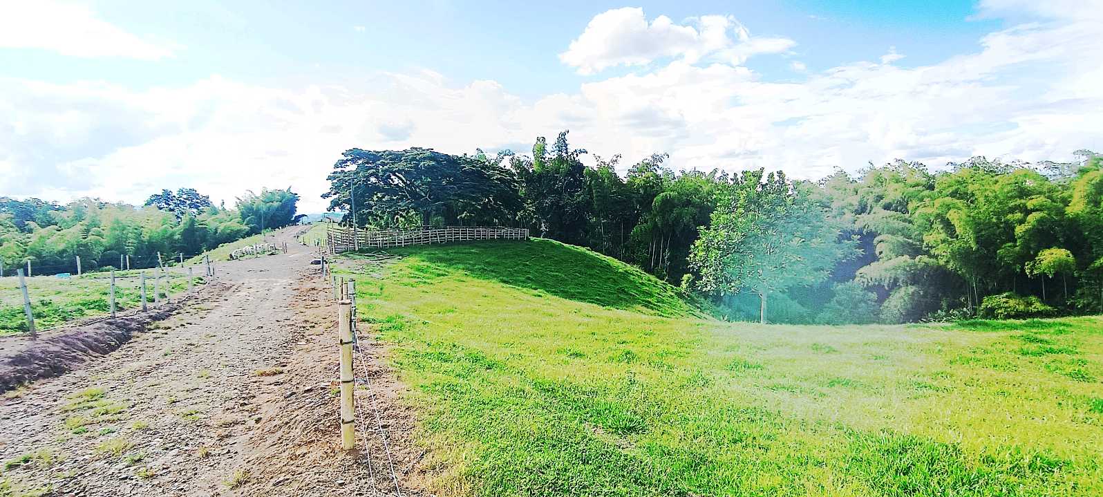 SE VENDE FINCA 84 CUADRAS EN TEBAIDA QUINDÍO. URBANIZABLE.