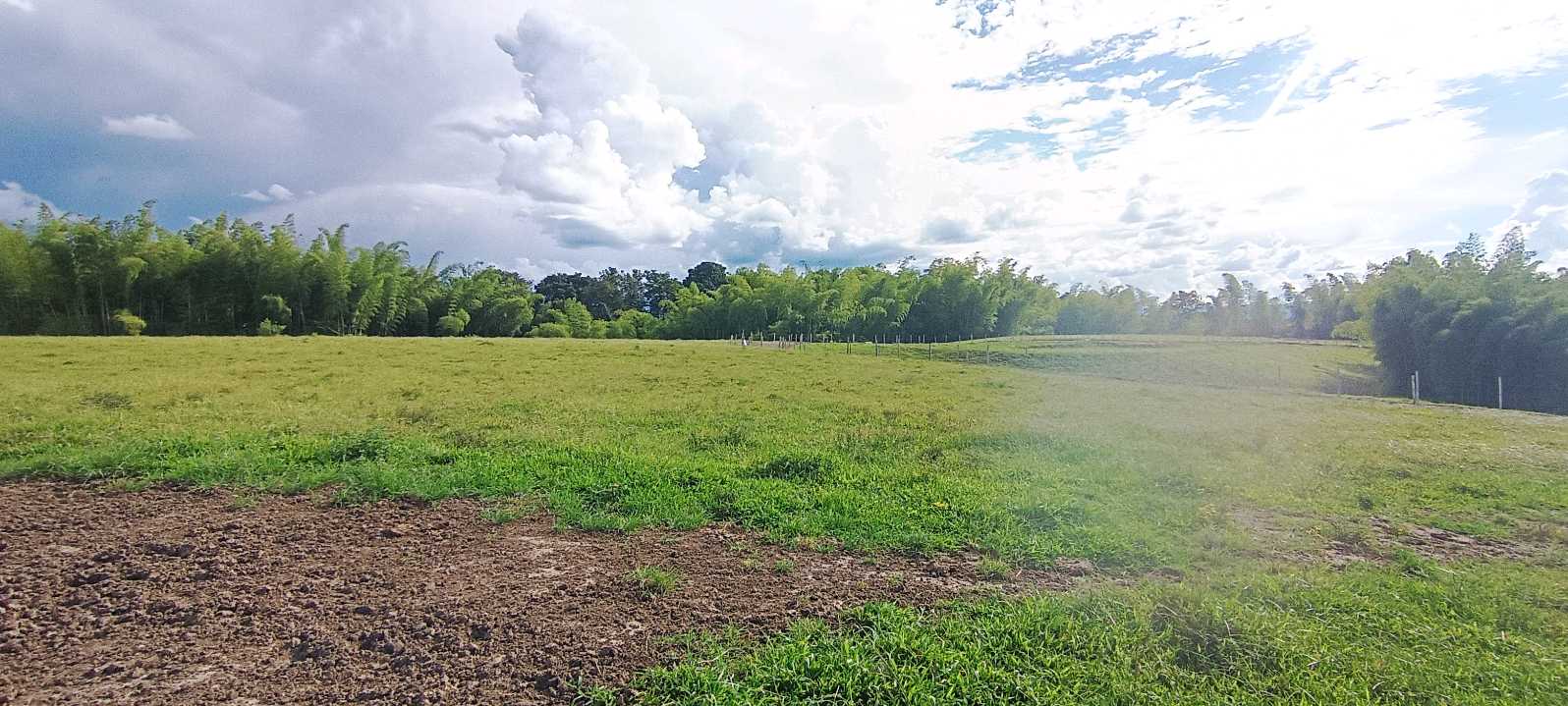 SE VENDE FINCA 84 CUADRAS EN TEBAIDA QUINDÍO. URBANIZABLE.