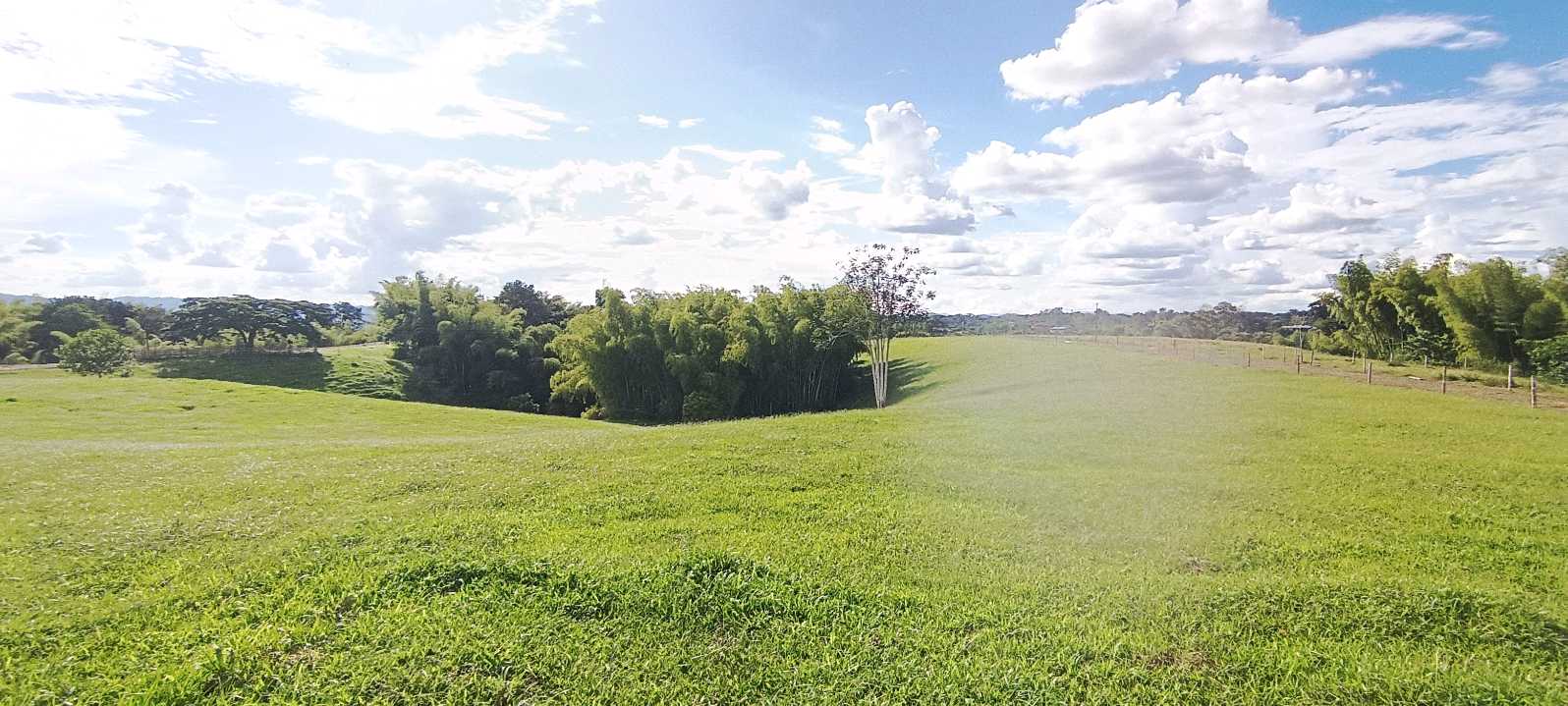 SE VENDE FINCA 84 CUADRAS EN TEBAIDA QUINDÍO. URBANIZABLE.