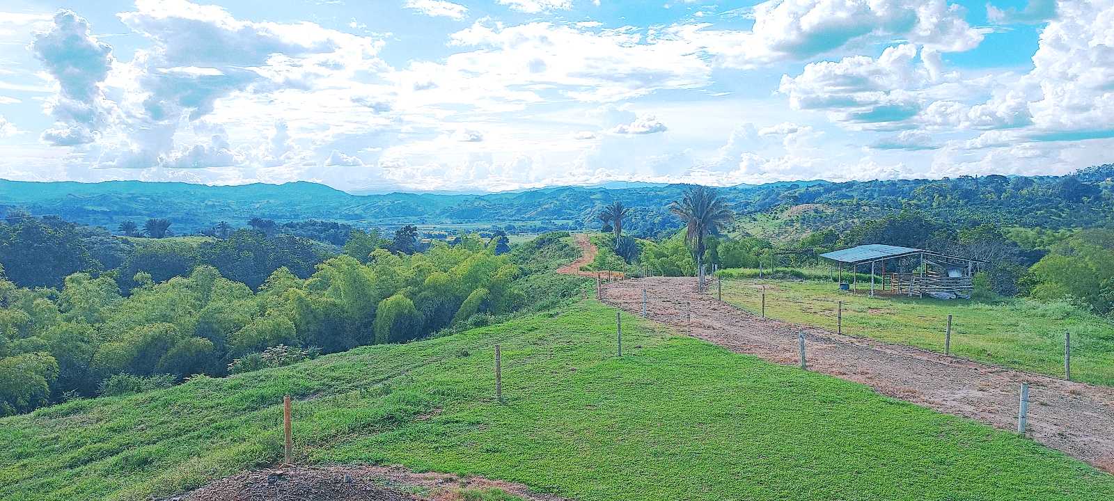 SE VENDE FINCA 84 CUADRAS EN TEBAIDA QUINDÍO. URBANIZABLE.