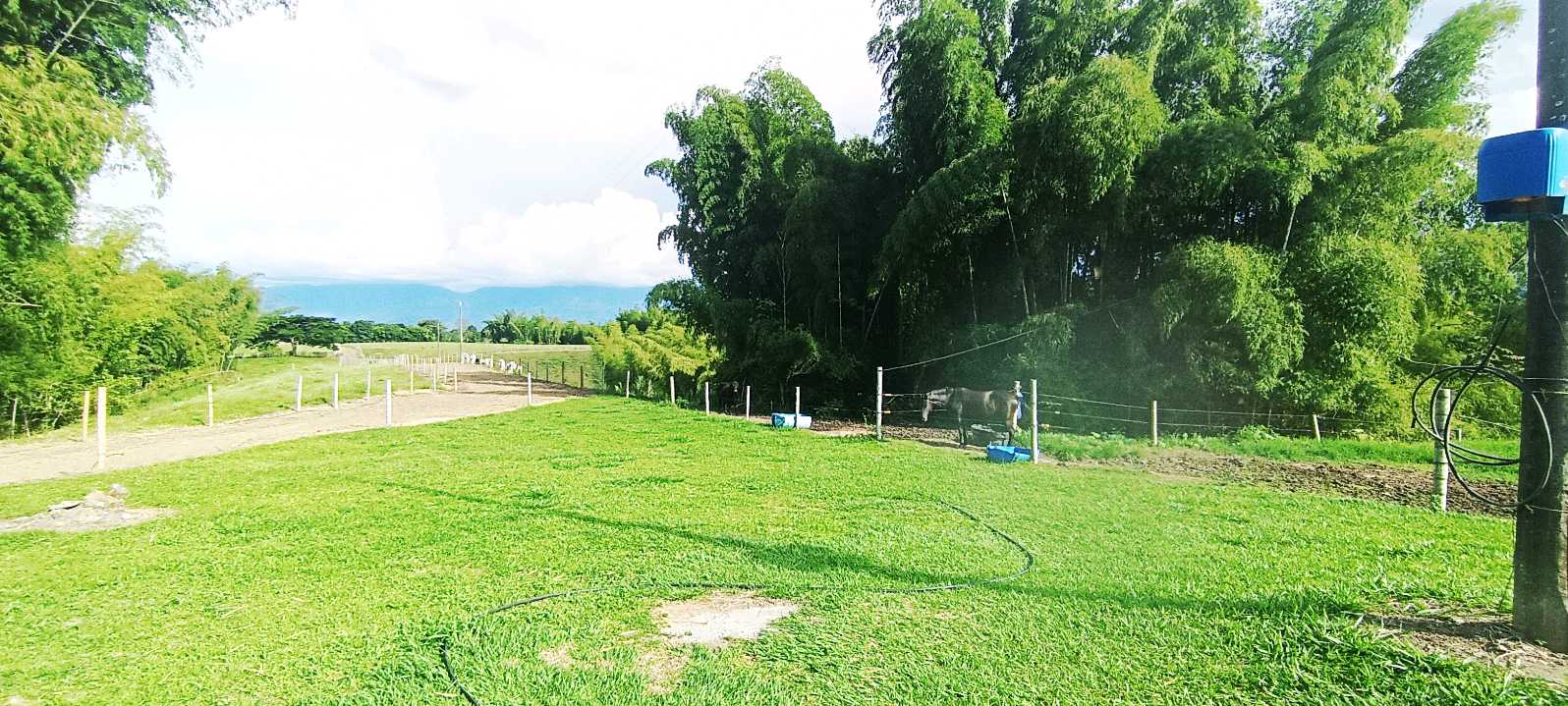 SE VENDE FINCA 84 CUADRAS EN TEBAIDA QUINDÍO. URBANIZABLE.