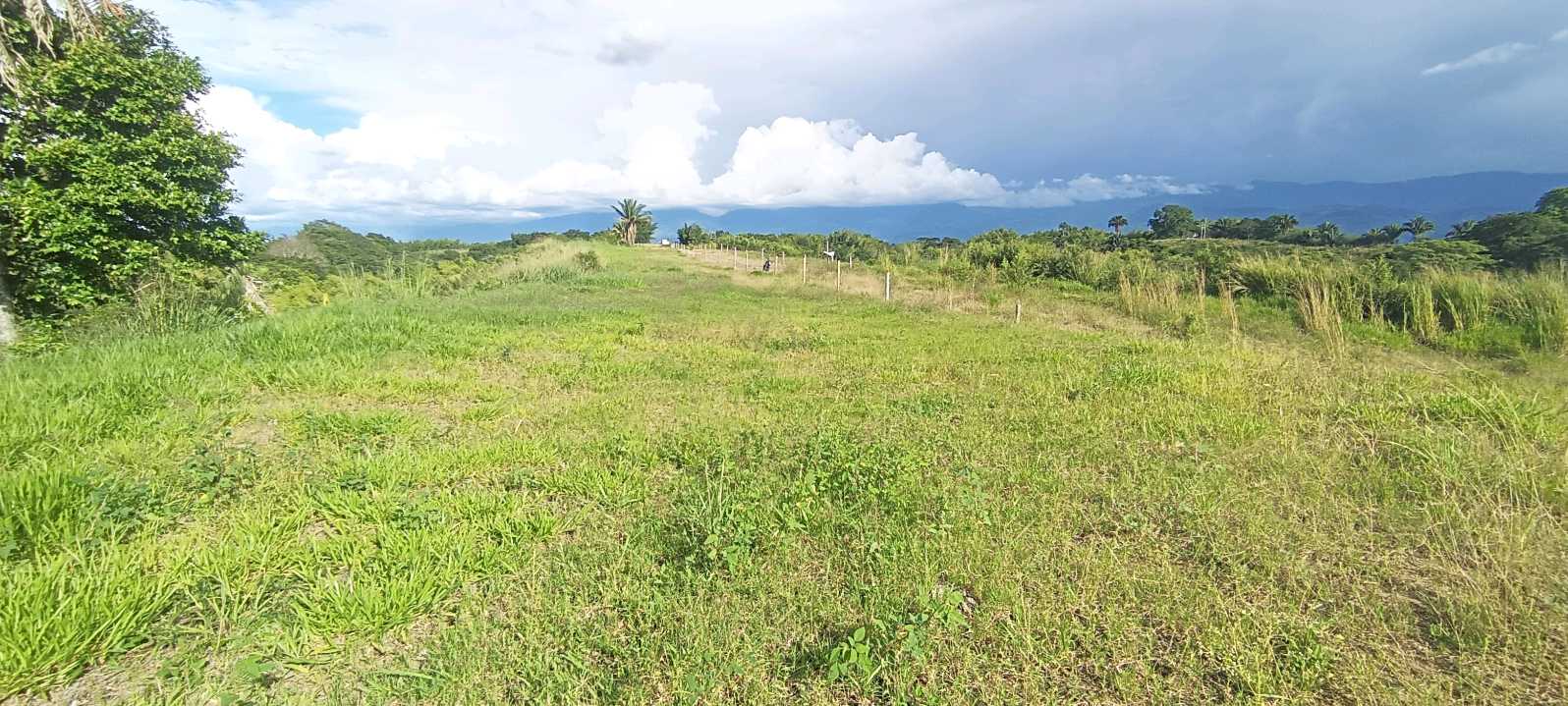 SE VENDE FINCA 84 CUADRAS EN TEBAIDA QUINDÍO. URBANIZABLE.