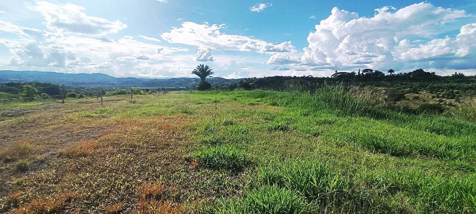 SE VENDE FINCA 84 CUADRAS EN TEBAIDA QUINDÍO. URBANIZABLE.