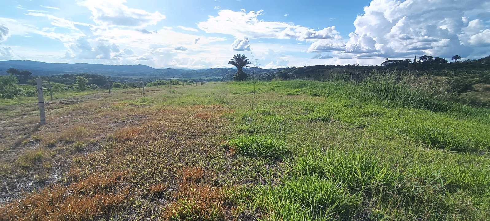 SE VENDE FINCA 84 CUADRAS EN TEBAIDA QUINDÍO. URBANIZABLE.