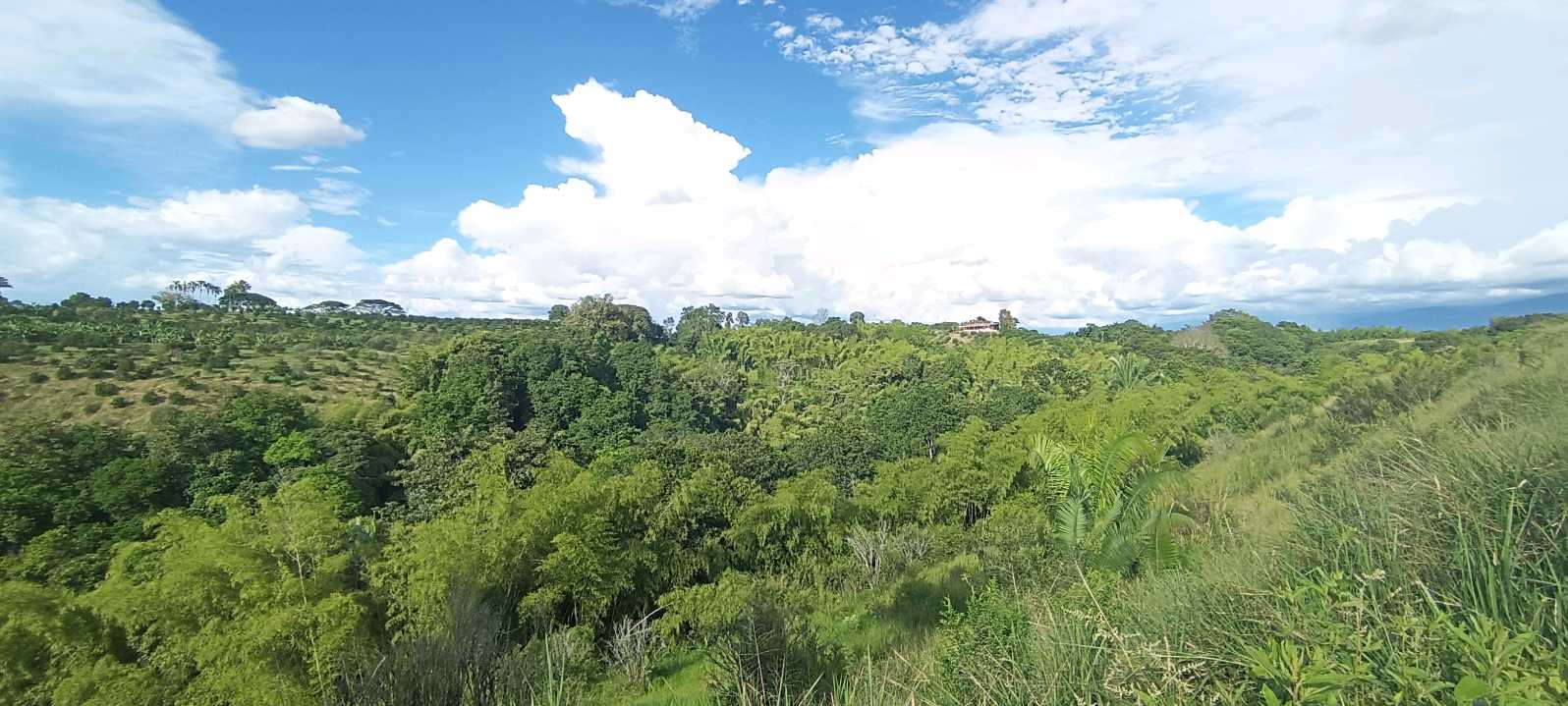SE VENDE FINCA 84 CUADRAS EN TEBAIDA QUINDÍO. URBANIZABLE.