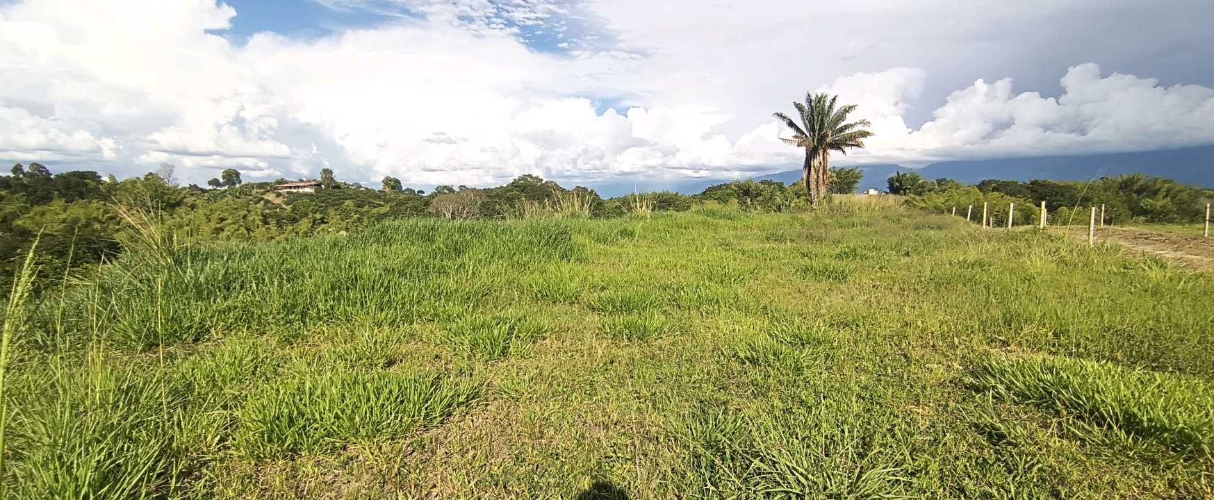 SE VENDE FINCA 84 CUADRAS EN TEBAIDA QUINDÍO. URBANIZABLE.