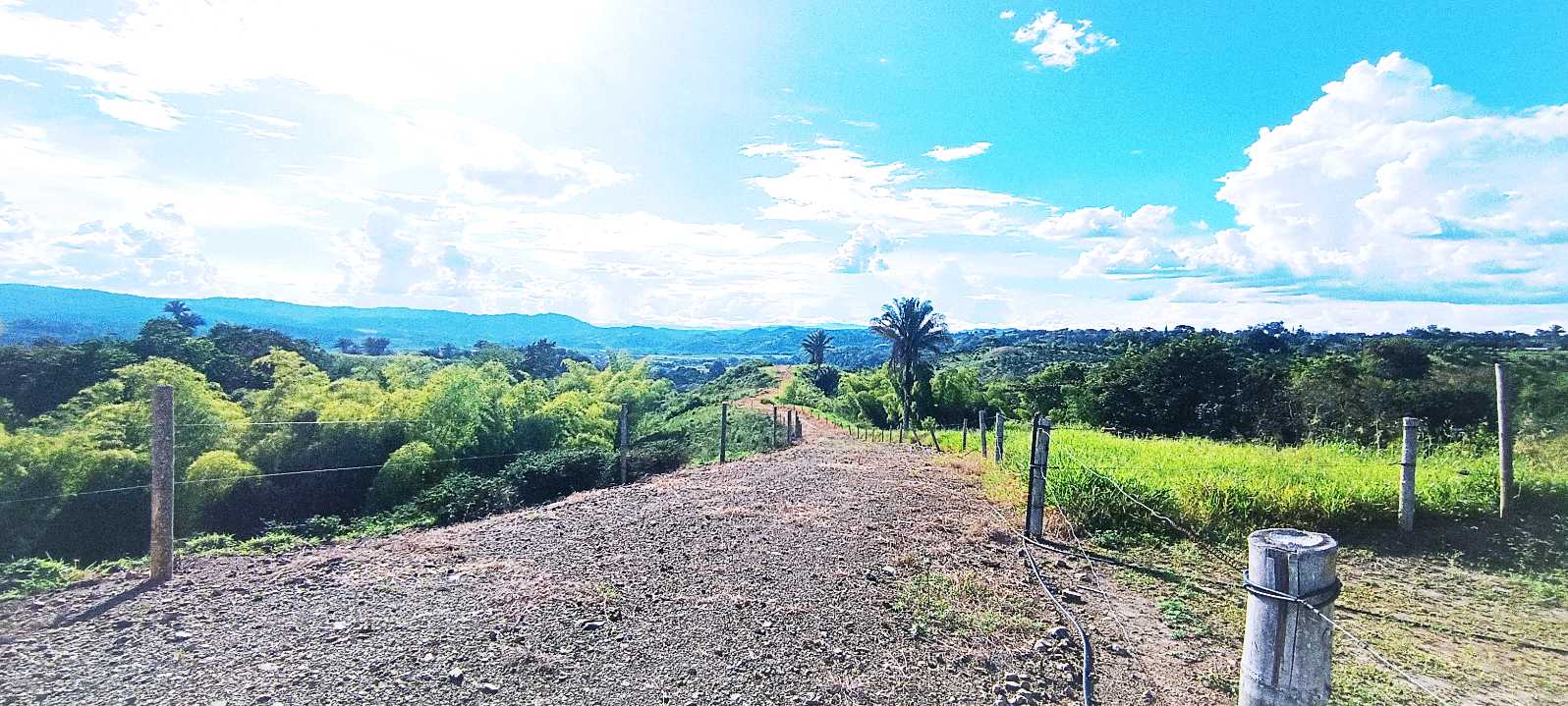 SE VENDE FINCA 84 CUADRAS EN TEBAIDA QUINDÍO. URBANIZABLE.