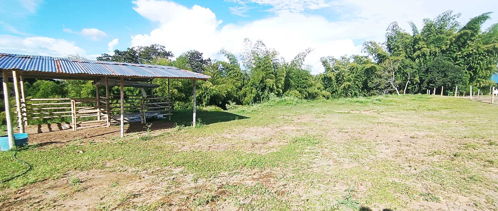 SE VENDE FINCA 84 CUADRAS EN TEBAIDA QUINDÍO. URBANIZABLE.