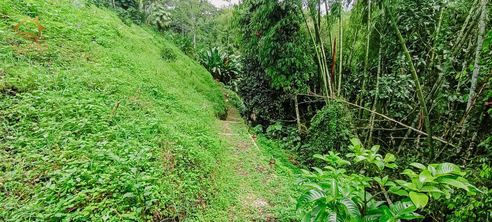 SE VENDE FINCA A 10 MIN DE CIRCASIA QUINDIO