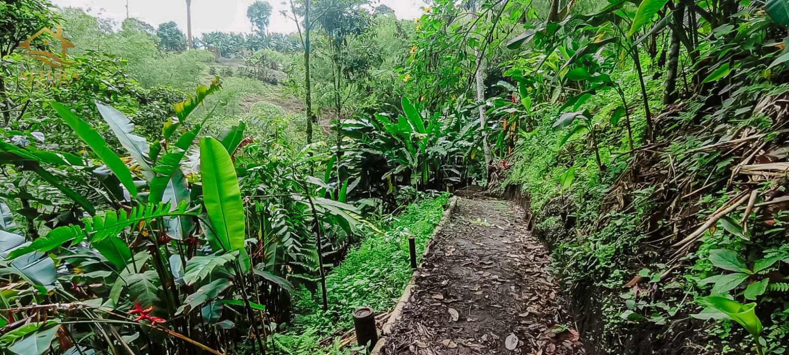 SE VENDE FINCA A 10 MIN DE CIRCASIA QUINDIO