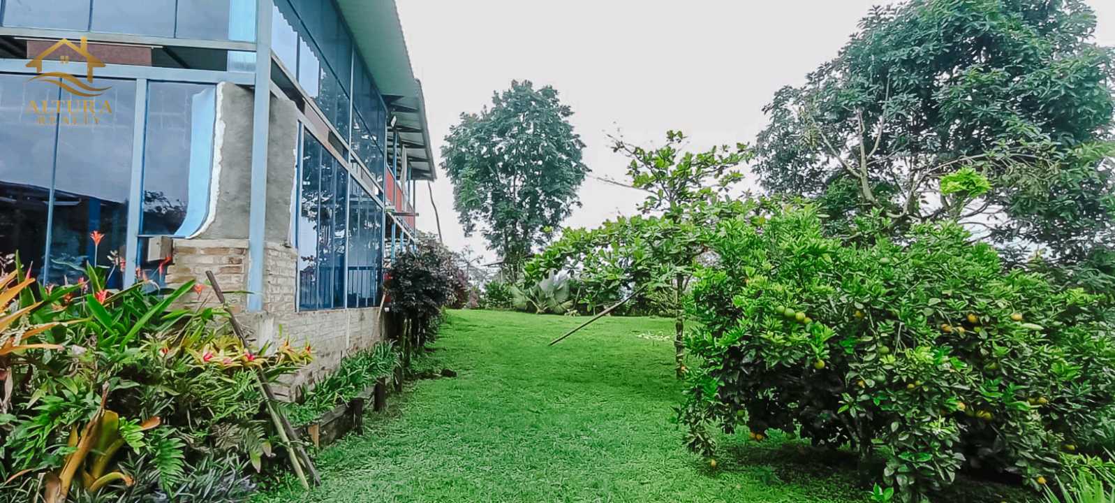 SE VENDE FINCA A 10 MIN DE CIRCASIA QUINDIO