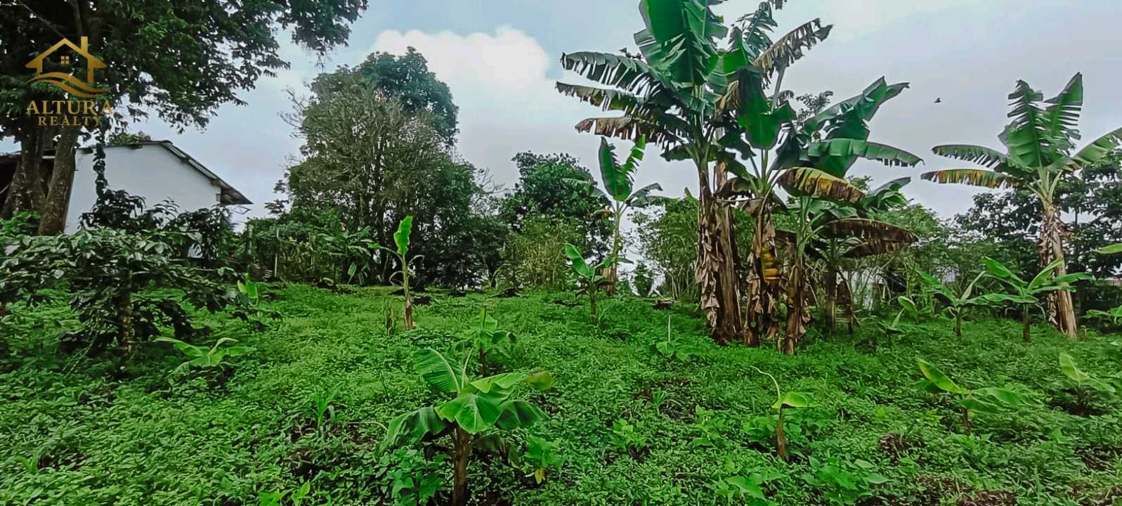 SE VENDE FINCA A 10 MIN DE CIRCASIA QUINDIO