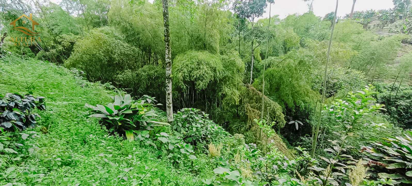 SE VENDE FINCA A 10 MIN DE CIRCASIA QUINDIO