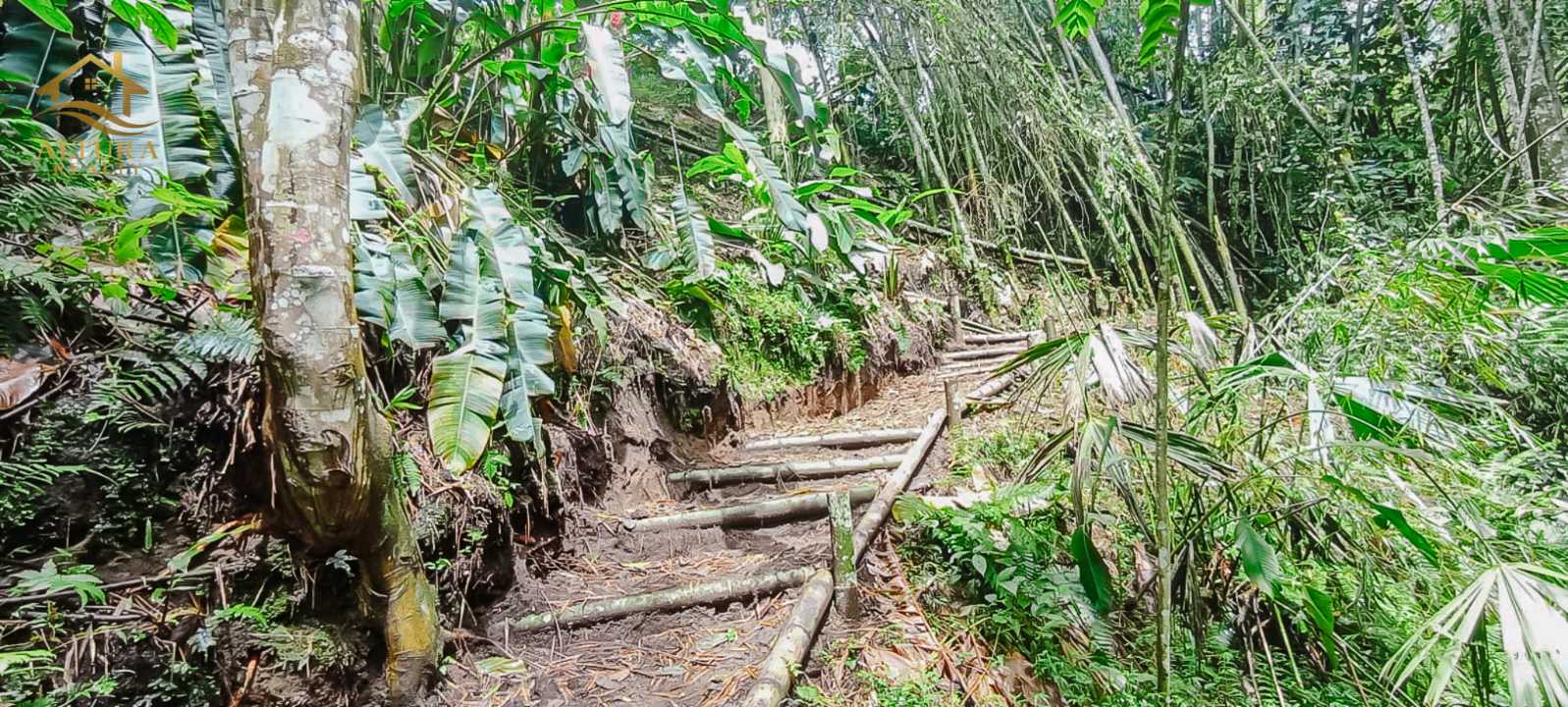 SE VENDE FINCA A 10 MIN DE CIRCASIA QUINDIO