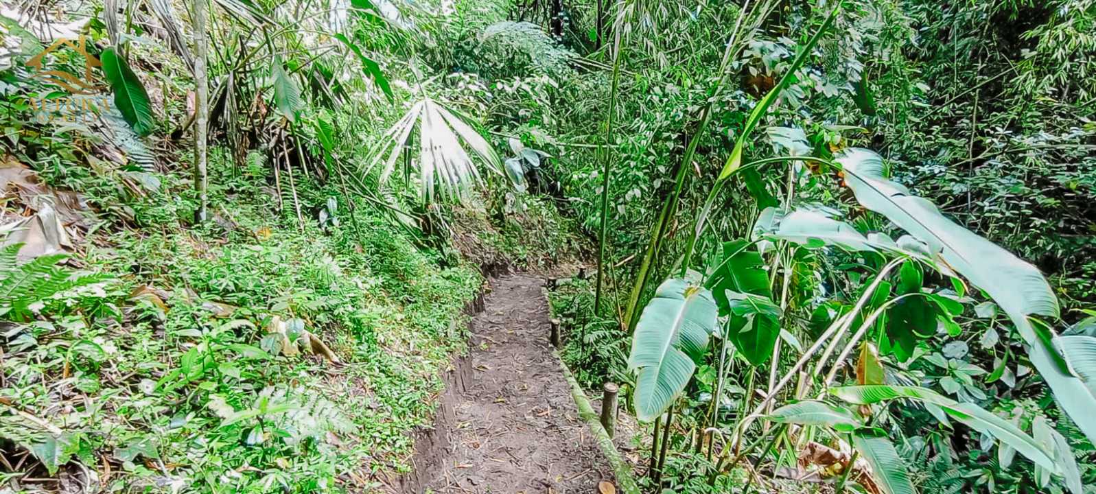 SE VENDE FINCA A 10 MIN DE CIRCASIA QUINDIO