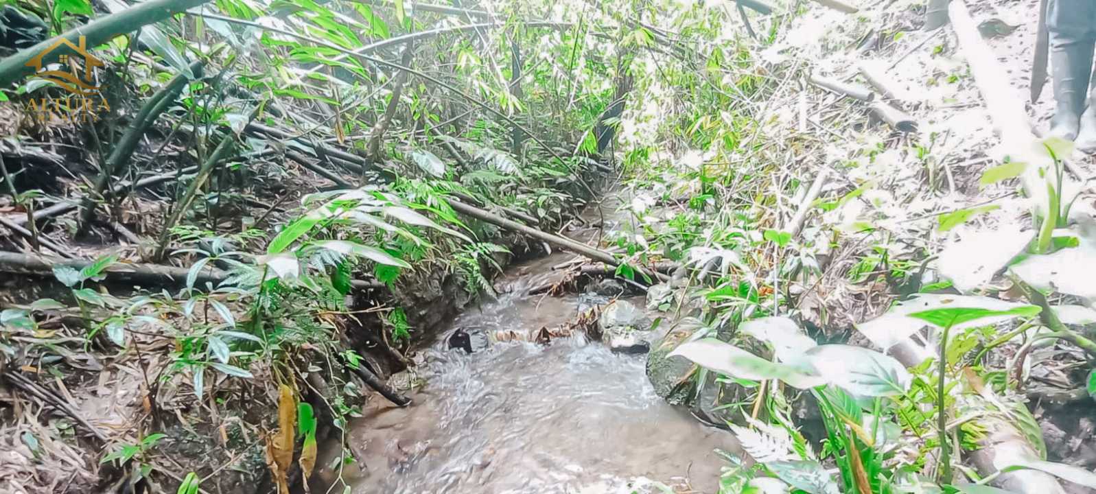 SE VENDE FINCA A 10 MIN DE CIRCASIA QUINDIO