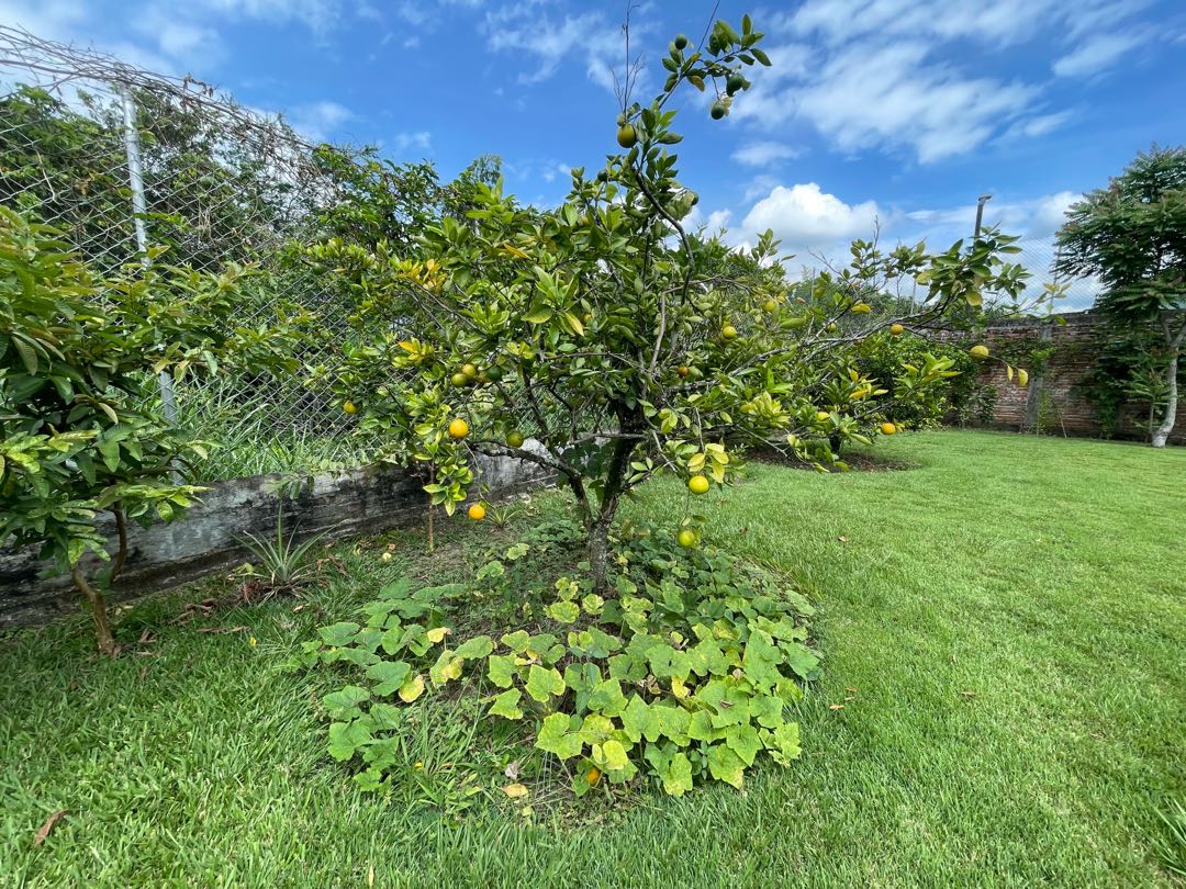 Detalle Inmueble Principal 37 SE VENDE FINCA DE LUJO EN SANTA ELENA VALLE