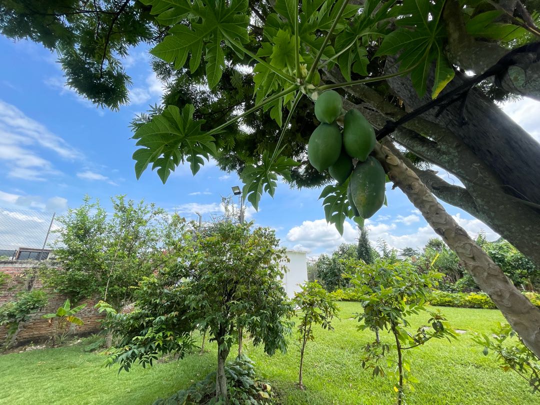 Detalle Inmueble Principal 40 SE VENDE FINCA DE LUJO EN SANTA ELENA VALLE