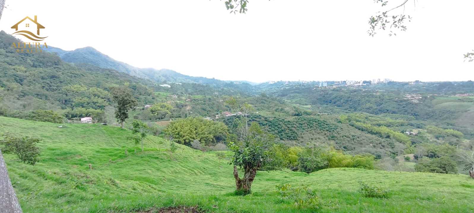 SE VENDE FINCA EN SALENTO QUINDIO