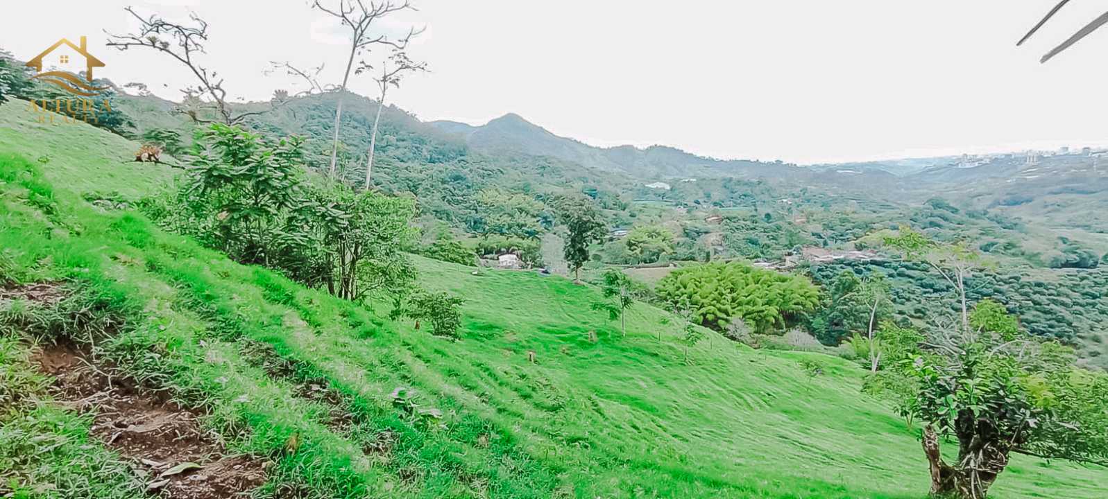 SE VENDE FINCA EN SALENTO QUINDIO