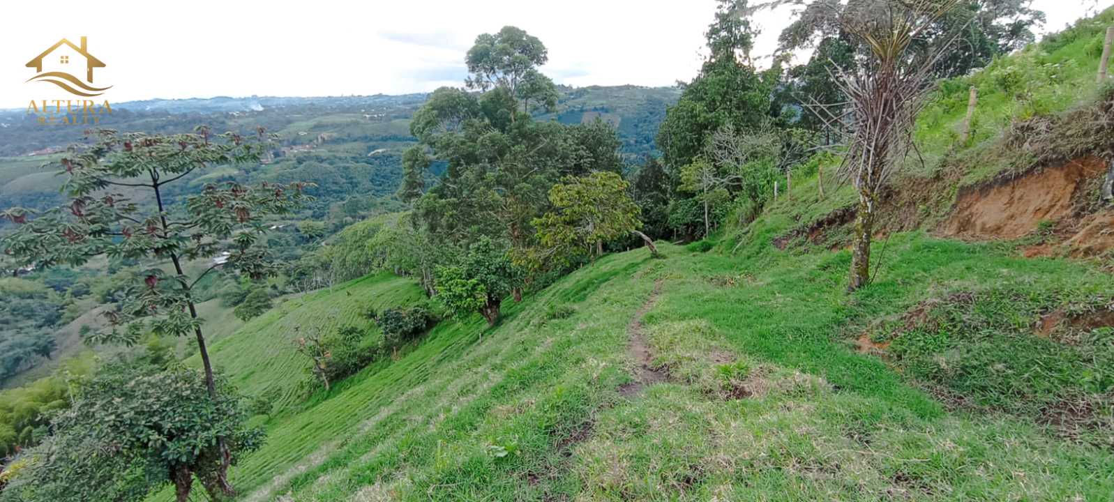 SE VENDE FINCA EN SALENTO QUINDIO