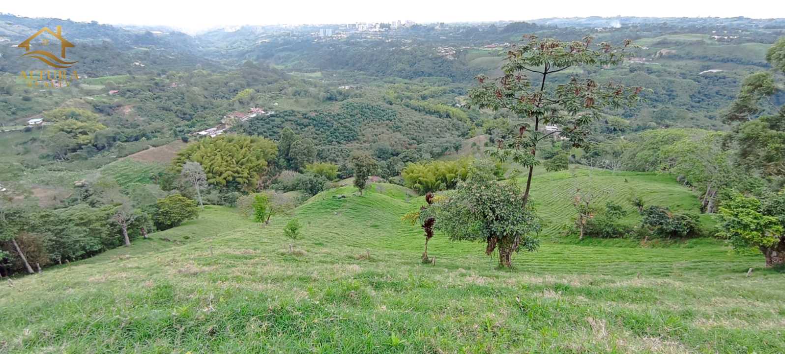 SE VENDE FINCA EN SALENTO QUINDIO