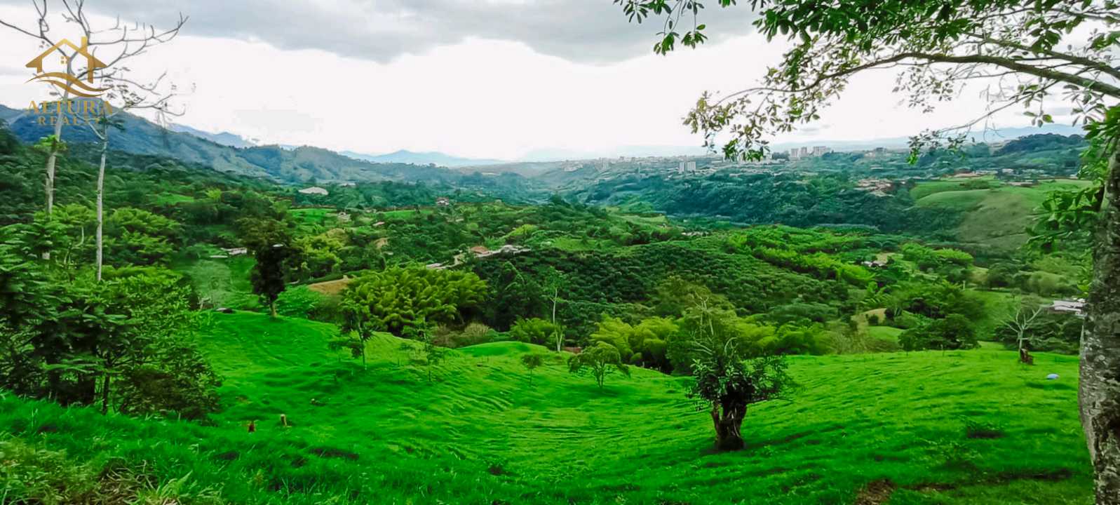 SE VENDE FINCA EN SALENTO QUINDIO