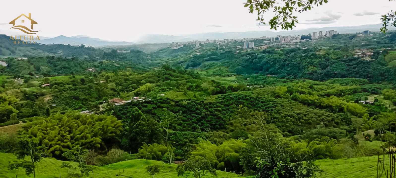 SE VENDE FINCA EN SALENTO QUINDIO