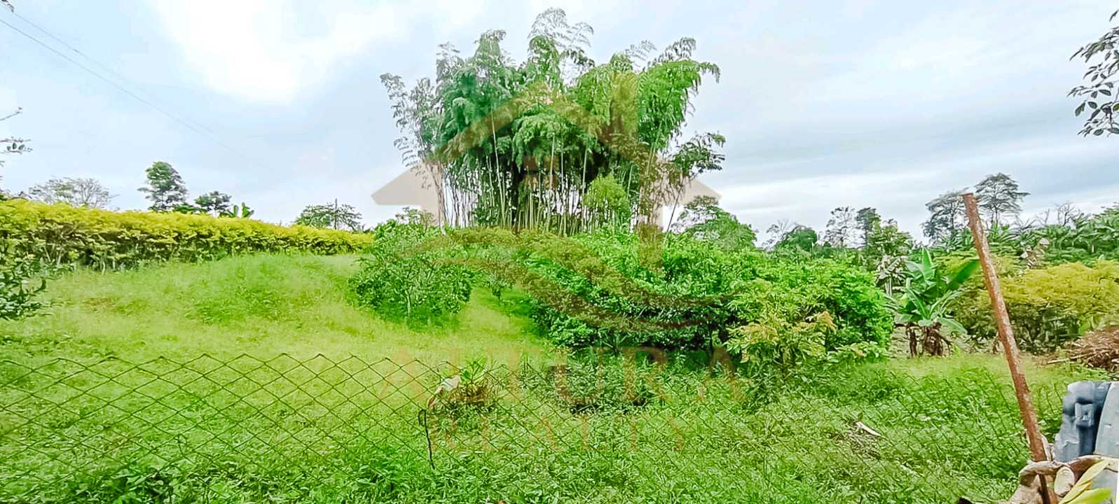 SE VENDE FINCA VIA CIRCASIA- MONTENEGRO