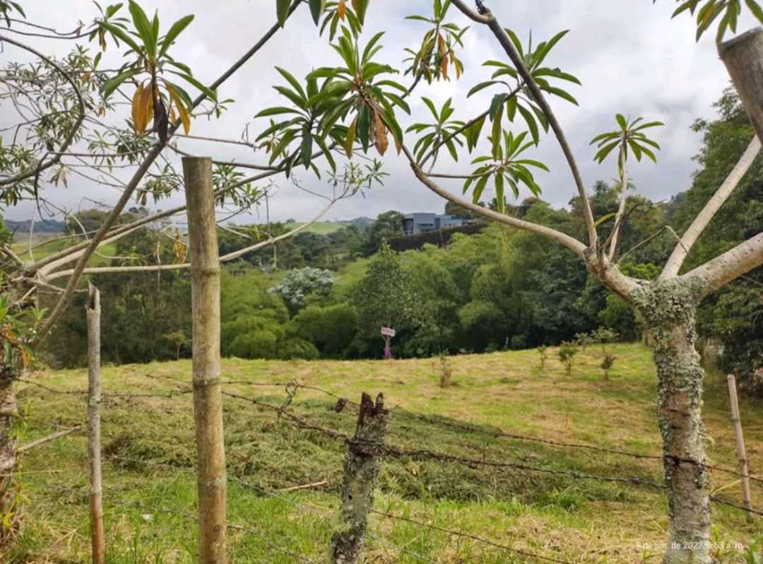 SE VENDE LOTE CAMPESTRE EN SECTOR RESIDENCIAL A 5 MIN DE CIRCASIA.