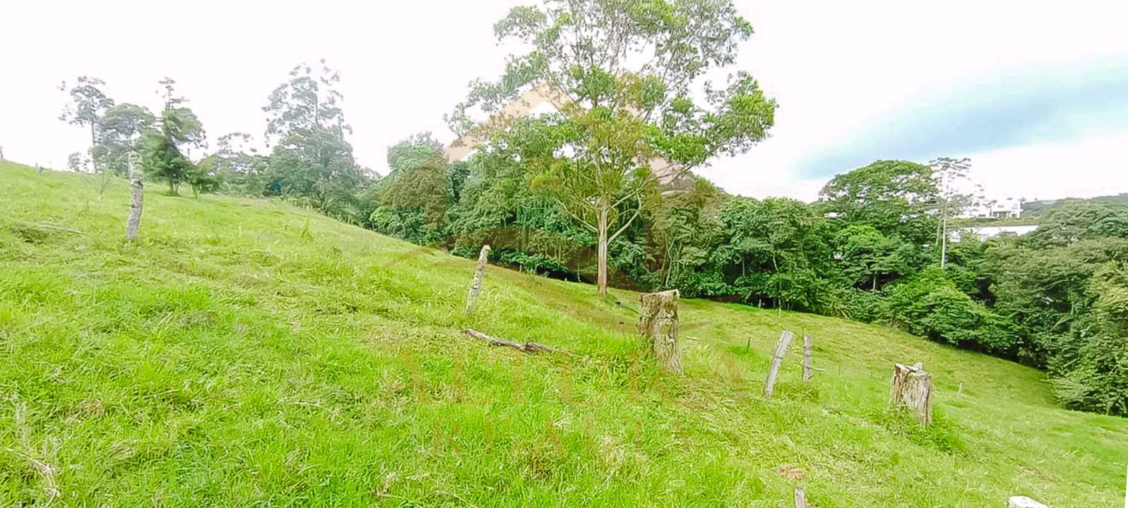 SE VENDE LOTE EN CIRCASIA 15.000mt² a 3 MIN DE CIRCASIA