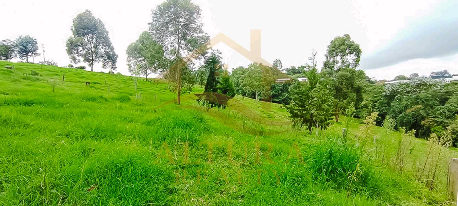 SE VENDE LOTE EN CIRCASIA 15.000mt² a 3 MIN DE CIRCASIA