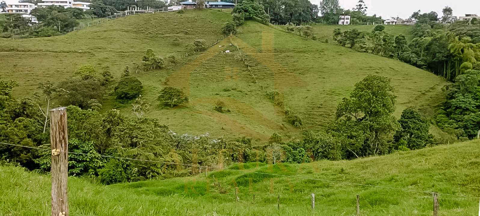 SE VENDE LOTE EN CIRCASIA 15.000mt² a 3 MIN DE CIRCASIA