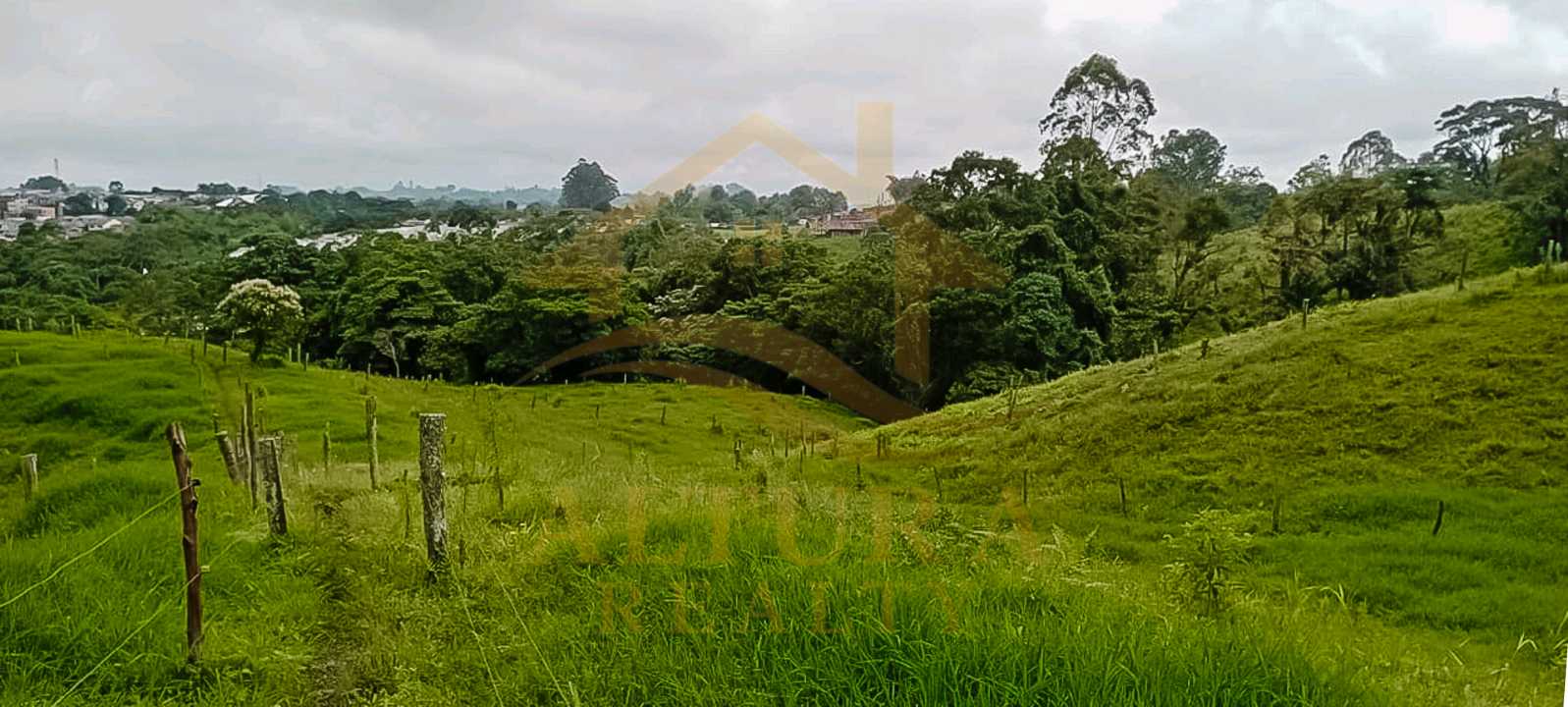 SE VENDE LOTE EN CIRCASIA 15.000mt² a 3 MIN DE CIRCASIA