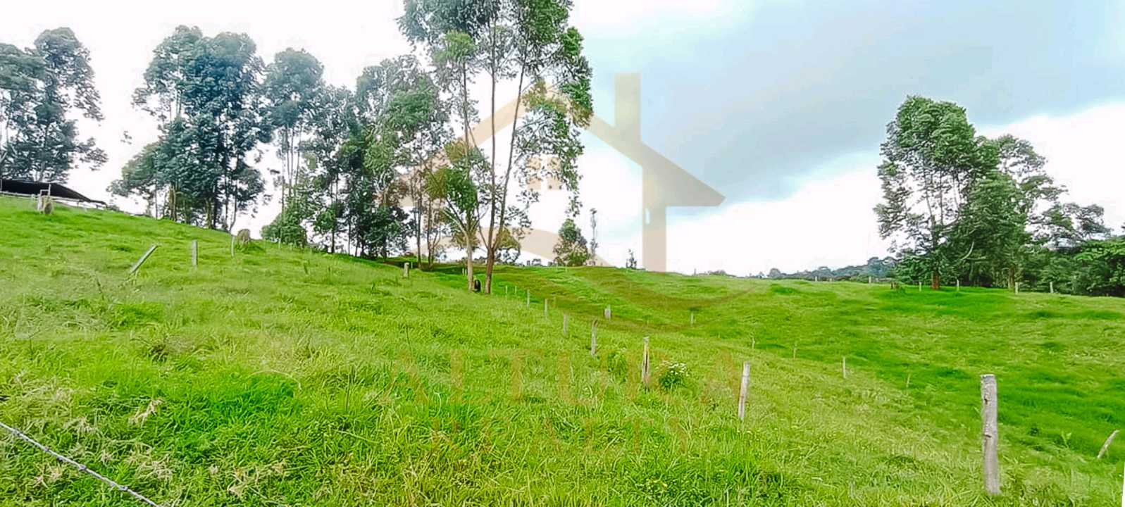 SE VENDE LOTE EN CIRCASIA 15.000mt² a 3 MIN DE CIRCASIA